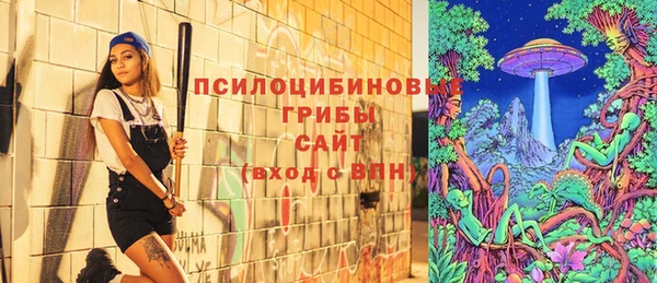 скорость Арсеньев