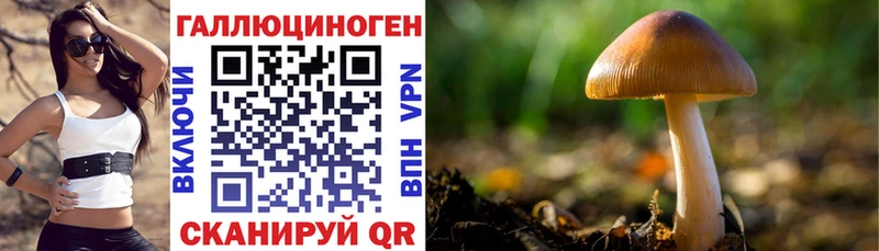 Псилоцибиновые грибы Psilocybe  что такое   Коряжма 